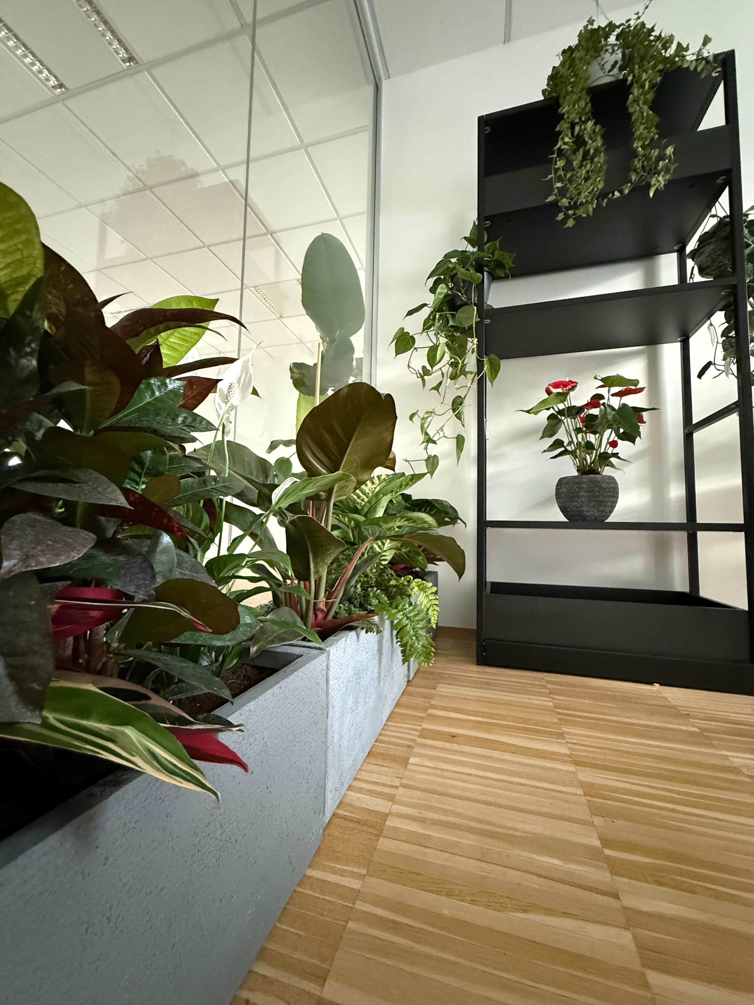 In arrivo. Neeeda HQ - Bolzano