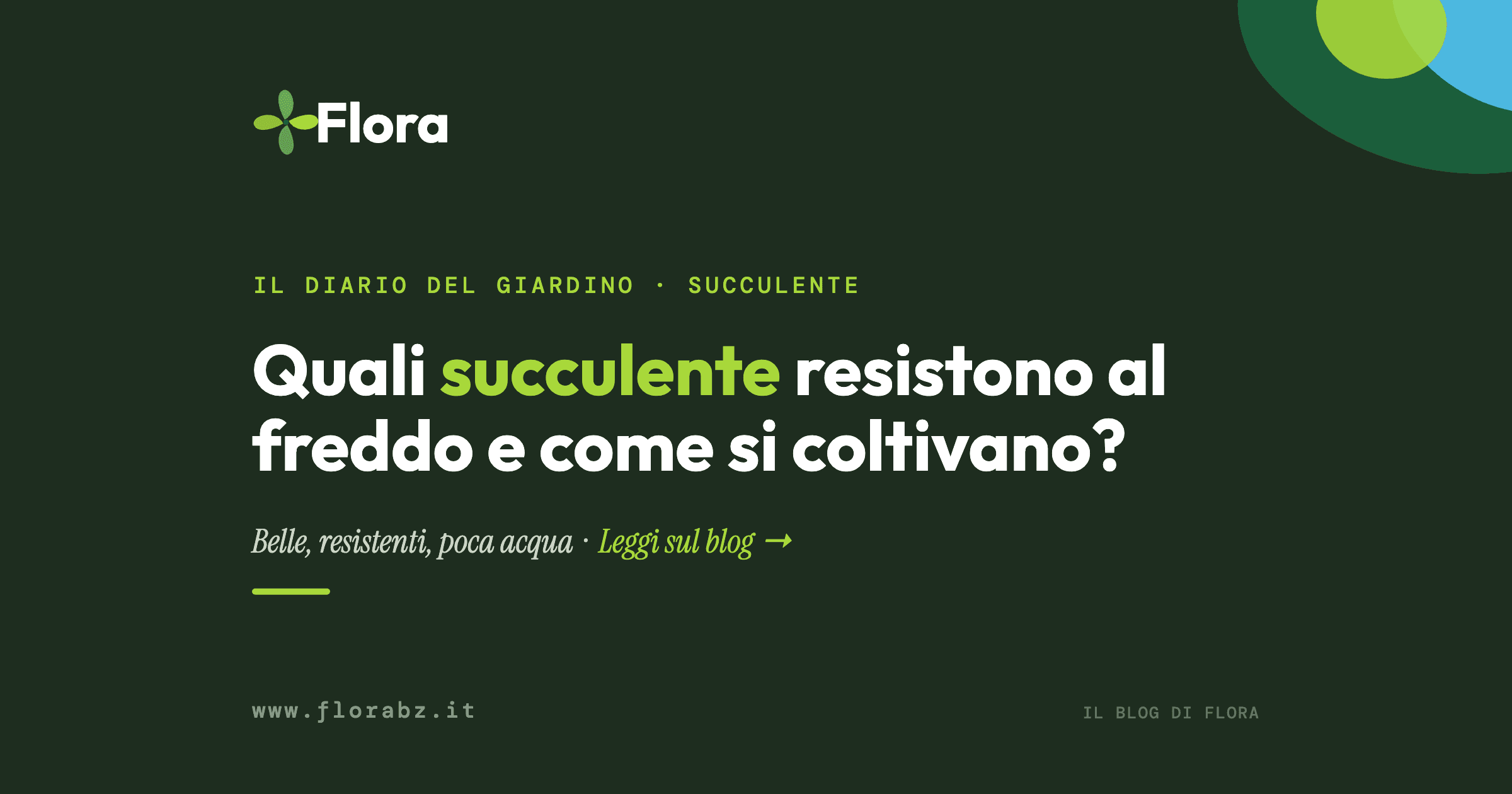 Quali succulente resistono al freddo e come si coltivano?