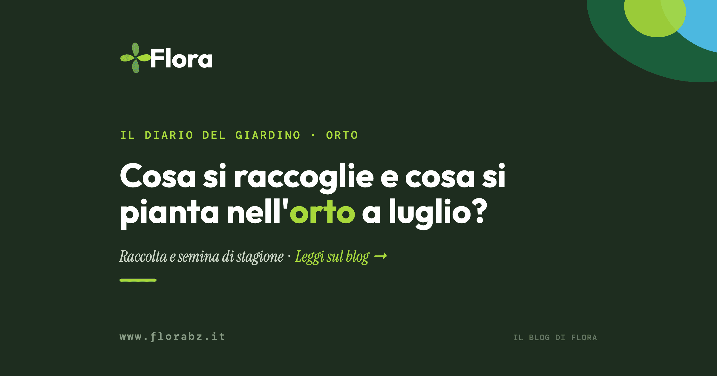 Cosa si raccoglie e cosa si pianta nell’orto a luglio?