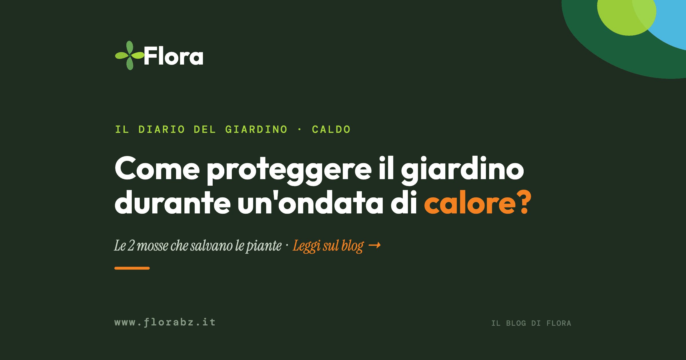 Come proteggere il giardino durante un’ondata di calore?