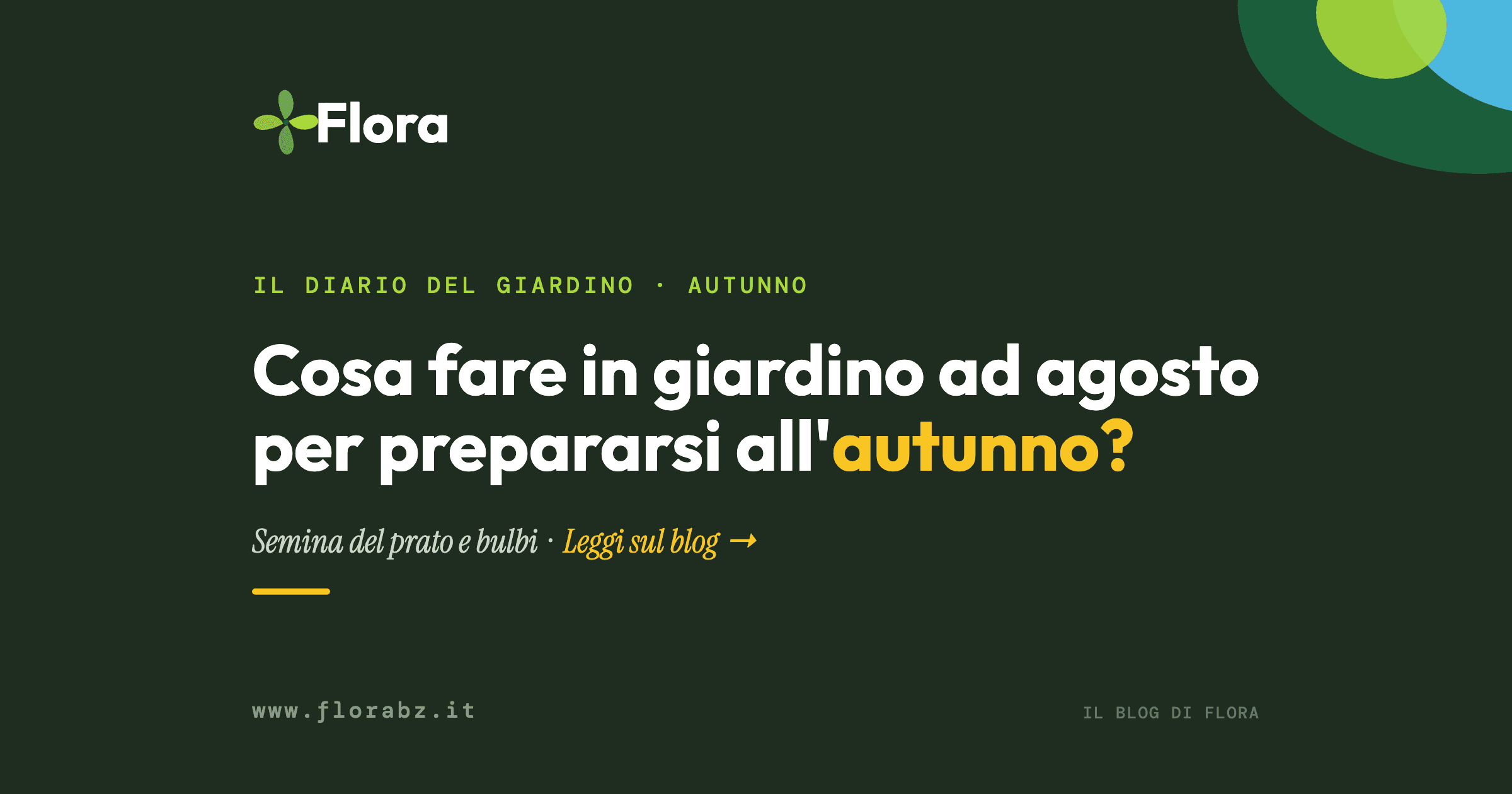Cosa fare in giardino ad agosto per prepararsi all’autunno?
