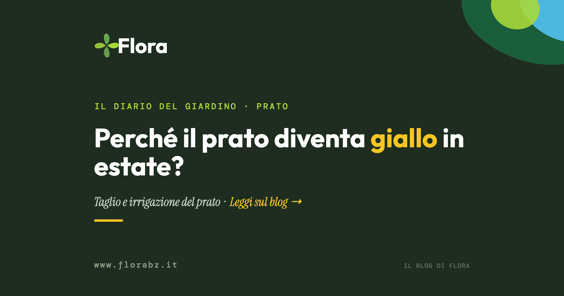 Perché il prato diventa giallo in estate?