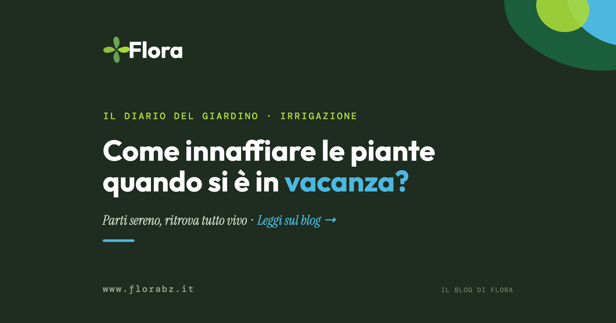 Come innaffiare le piante quando si è in vacanza?