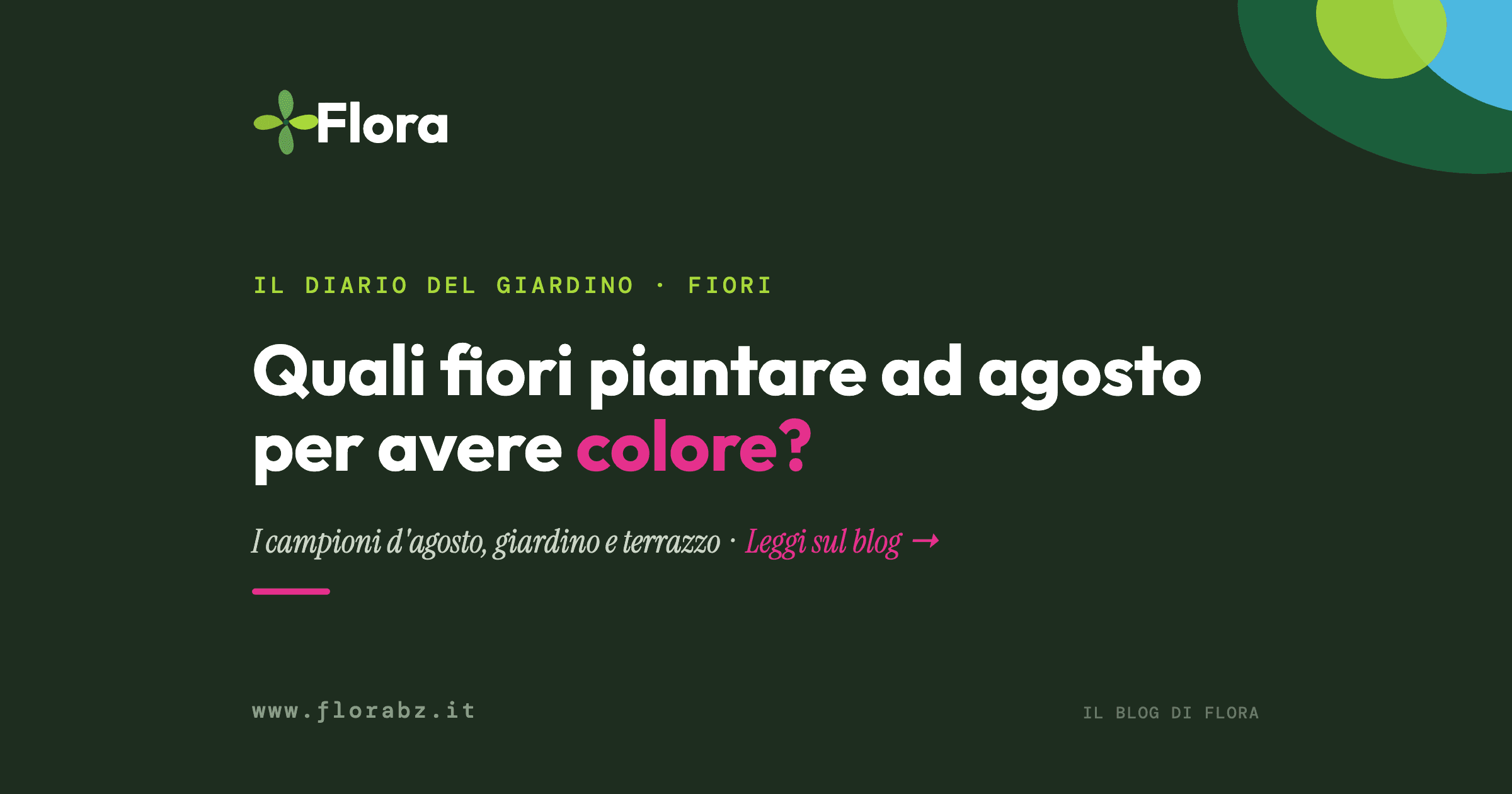 Quali fiori piantare ad agosto per avere colore?